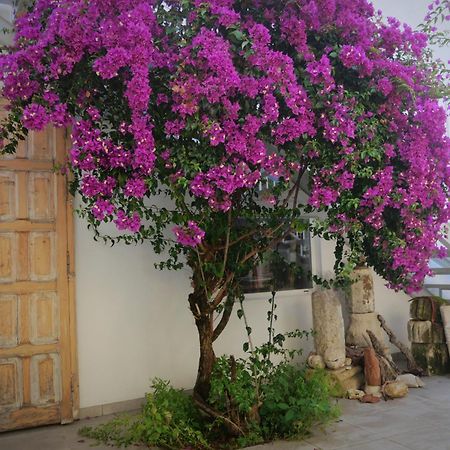 Casa De La Fra Leilighet Jerez de la Frontera Eksteriør bilde
