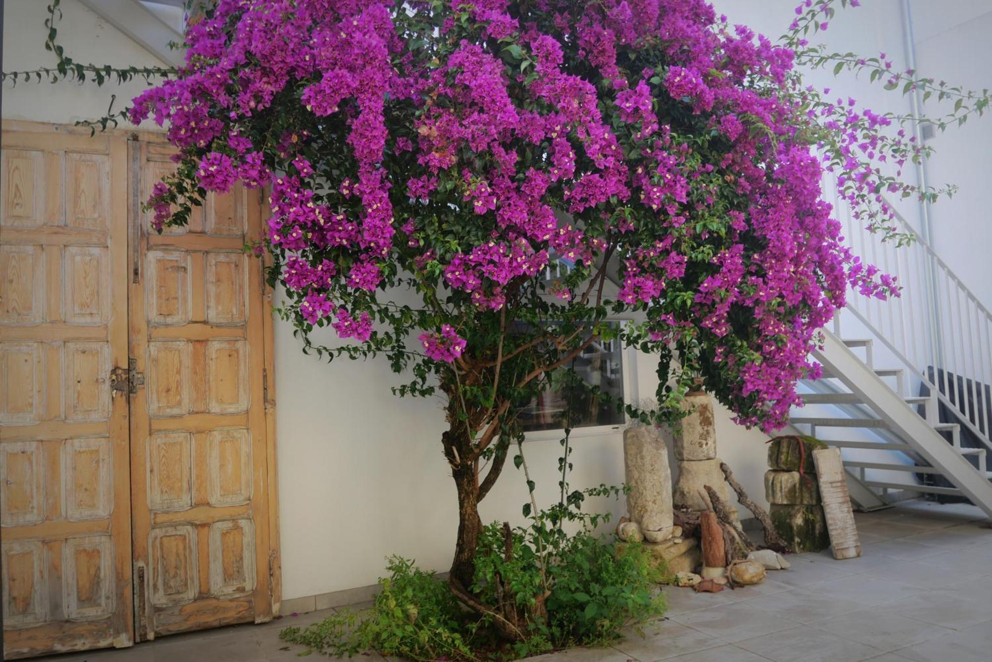 Casa De La Fra Leilighet Jerez de la Frontera Eksteriør bilde